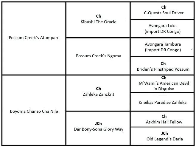 Rodokmen – Dumisani Chanzo Cha Nile